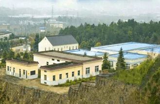 智優生物榮獲世界移動互聯網大會“新零售龍頭企業獎” 引領家政服務升級