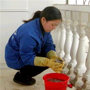 一帆家政服務產品介紹及健身服務整合方案