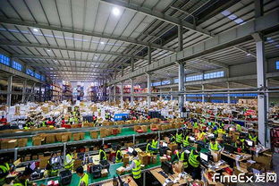 第三方倉配外包與家政服務 如何選擇優質服務商