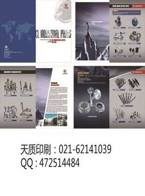 上海普陀區(qū) 融合畫冊印刷與軟件開發(fā)，打造數(shù)字時(shí)代高端視覺傳播方案