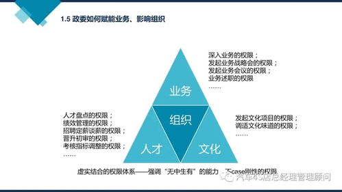 阿里巴巴組織能力建設 從“鐵軍”到“數字經濟體”的進化之道